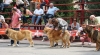 Filename=IMG-5197.jpg
Filesize=115KiB
Dimensions=1200x670
Date added=%905 %15, %2012 IMG-5197.jpg