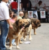 Filename=IMG-5202.jpg
Filesize=121KiB
Dimensions=1186x1200
Date added=%905 %15, %2012 IMG-5202.jpg