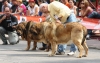 Filename=IMG-5205.jpg
Filesize=101KiB
Dimensions=1200x766
Date added=%905 %15, %2012 IMG-5205.jpg