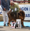 Filename=IMG-5208.jpg
Filesize=145KiB
Dimensions=1184x1200
Date added=%905 %15, %2012 IMG-5208.jpg