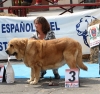 Filename=IMG-5211.jpg
Filesize=152KiB
Dimensions=1200x1130
Date added=%905 %15, %2012 IMG-5211.jpg