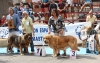Filename=IMG-5212.jpg
Filesize=145KiB
Dimensions=1200x767
Date added=%905 %15, %2012 IMG-5212.jpg
