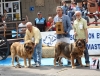 Filename=IMG-5213.jpg
Filesize=149KiB
Dimensions=1200x920
Date added=%905 %15, %2012 IMG-5213.jpg