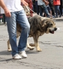 Filename=IMG-5217.jpg
Filesize=136KiB
Dimensions=1104x1200
Date added=%905 %15, %2012 IMG-5217.jpg