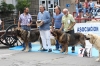 Filename=IMG-5231.jpg
Filesize=141KiB
Dimensions=1200x800
Date added=%905 %15, %2012 IMG-5231.jpg