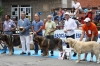 Filename=IMG-5233.jpg
Filesize=138KiB
Dimensions=1200x800
Date added=%905 %15, %2012 IMG-5233.jpg