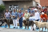 Filename=IMG-5234.jpg
Filesize=138KiB
Dimensions=1200x800
Date added=%905 %15, %2012 IMG-5234.jpg