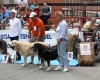 Filename=IMG-5235.jpg
Filesize=167KiB
Dimensions=1200x965
Date added=%905 %15, %2012 IMG-5235.jpg