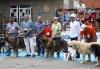 Filename=IMG-5236.jpg
Filesize=127KiB
Dimensions=1200x830
Date added=%905 %15, %2012 IMG-5236.jpg