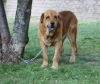 Filename=IMG-4726.jpg
Filesize=128KiB
Dimensions=1200x1008
Date added=%422 %16, %2012 IMG-4726.jpg