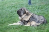 Filename=IMG-4729.jpg
Filesize=116KiB
Dimensions=1200x800
Date added=%422 %16, %2012 IMG-4729.jpg