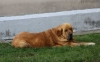 Filename=IMG-4733.jpg
Filesize=67KiB
Dimensions=1200x753
Date added=%422 %16, %2012 IMG-4733.jpg