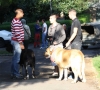 Filename=IMG-4734.jpg
Filesize=116KiB
Dimensions=1200x1091
Date added=%422 %16, %2012 IMG-4734.jpg