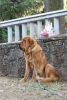 Filename=IMG-4749.jpg
Filesize=110KiB
Dimensions=807x1200
Date added=%422 %16, %2012 IMG-4749.jpg