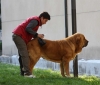 Filename=IMG-4753.jpg
Filesize=73KiB
Dimensions=1200x1025
Date added=%422 %16, %2012 IMG-4753.jpg