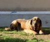Filename=IMG-4767.jpg
Filesize=103KiB
Dimensions=1200x1022
Date added=%422 %16, %2012 IMG-4767.jpg
