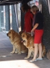 Filename=IMG-4771.jpg
Filesize=76KiB
Dimensions=887x1200
Date added=%422 %16, %2012 IMG-4771.jpg