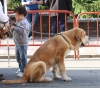 Filename=IMG-4821.jpg
Filesize=138KiB
Dimensions=1200x1056
Date added=%422 %16, %2012 IMG-4821.jpg