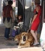 Filename=IMG-4970.jpg
Filesize=90KiB
Dimensions=1071x1200
Date added=%422 %16, %2012 IMG-4970.jpg