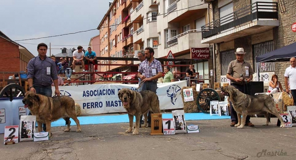 XXXII Monográfica Nacional AEPME, Villablino, León - 08.09.2012
Keywords: 2012