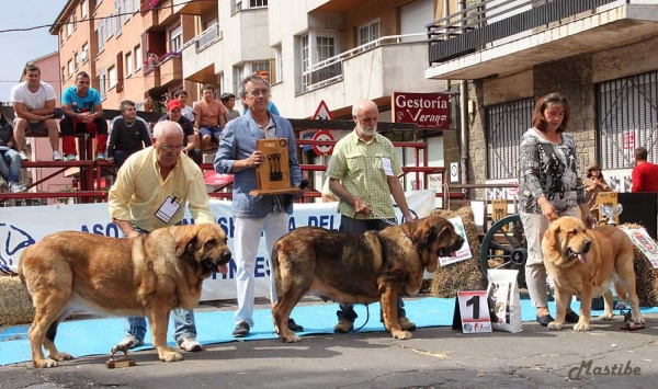 XXXII Monográfica Nacional AEPME, Villablino, León - 08.09.2012
Nøkkelord: 2012