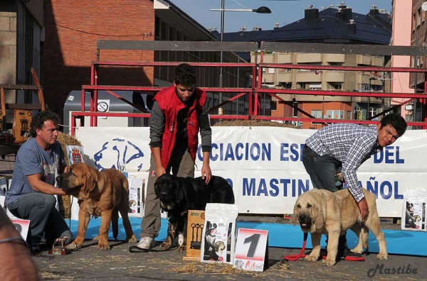 XXXII Monográfica Nacional AEPME, Villablino, León - 08.09.2012
Keywords: 2012