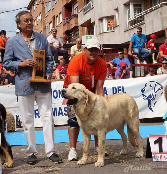 XXXII Monográfica Nacional AEPME, Villablino, León - 08.09.2012
Keywords: 2012