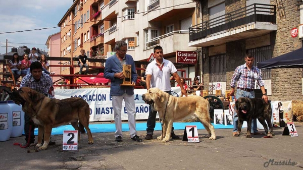 XXXII Monográfica Nacional AEPME, Villablino, León - 08.09.2012
Keywords: 2012