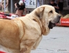 Filename=monografica101-(2).jpg
Filesize=49KiB
Dimensions=729x567
Date added=%445 %16, %2012 monografica101-(2).jpg