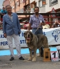 Filename=monografica131.jpg
Filesize=71KiB
Dimensions=582x666
Date added=%445 %16, %2012 monografica131.jpg