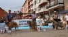 Filename=monografica132.jpg
Filesize=102KiB
Dimensions=964x522
Date added=%445 %16, %2012 monografica132.jpg