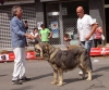 Filename=monografica146-(2).jpg
Filesize=81KiB
Dimensions=713x595
Date added=%445 %16, %2012 monografica146-(2).jpg