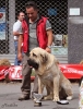 Filename=monografica157.jpg
Filesize=74KiB
Dimensions=521x680
Date added=%445 %16, %2012 monografica157.jpg