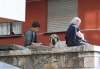 Filename=monografica2.jpg
Filesize=57KiB
Dimensions=817x567
Date added=%445 %16, %2012 monografica2.jpg