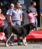 Filename=monografica41-(2).jpg
Filesize=72KiB
Dimensions=567x652
Date added=%445 %16, %2012 monografica41-(2).jpg