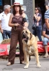 Filename=monografica55.jpg
Filesize=60KiB
Dimensions=476x686
Date added=%445 %16, %2012 monografica55.jpg