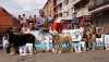Filename=monografica66.jpg
Filesize=99KiB
Dimensions=944x539
Date added=%445 %16, %2012 monografica66.jpg