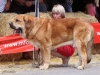 Filename=monografica94-(2).jpg
Filesize=79KiB
Dimensions=753x567
Date added=%445 %16, %2012 monografica94-(2).jpg