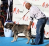 Filename=IMG-4802.jpg
Filesize=114KiB
Dimensions=1200x1130
Date added=%461 %12, %2012 IMG-4802.jpg