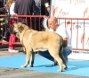 Filename=IMG-4811.jpg
Filesize=158KiB
Dimensions=1378x1200
Date added=%461 %12, %2012 IMG-4811.jpg