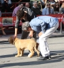 Filename=IMG-4825.jpg
Filesize=159KiB
Dimensions=1134x1200
Date added=%461 %12, %2012 IMG-4825.jpg