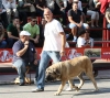 Filename=IMG-4834.jpg
Filesize=133KiB
Dimensions=1200x1071
Date added=%461 %12, %2012 IMG-4834.jpg