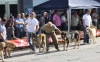 Filename=IMG-4839.jpg
Filesize=117KiB
Dimensions=1200x746
Date added=%461 %12, %2012 IMG-4839.jpg