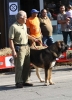 Filename=IMG-4844.jpg
Filesize=128KiB
Dimensions=866x1200
Date added=%461 %12, %2012 IMG-4844.jpg