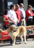 Filename=IMG-4846.jpg
Filesize=111KiB
Dimensions=840x1200
Date added=%461 %12, %2012 IMG-4846.jpg