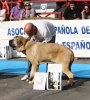 Filename=IMG-4852.jpg
Filesize=133KiB
Dimensions=1082x1200
Date added=%461 %12, %2012 IMG-4852.jpg