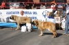 Filename=IMG-4856.jpg
Filesize=134KiB
Dimensions=1200x800
Date added=%461 %12, %2012 IMG-4856.jpg