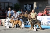 Filename=IMG-4857.jpg
Filesize=193KiB
Dimensions=1500x1000
Date added=%461 %12, %2012 IMG-4857.jpg