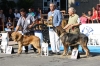 Filename=IMG-4858.jpg
Filesize=140KiB
Dimensions=1200x799
Date added=%461 %12, %2012 IMG-4858.jpg