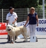 Filename=2459-bis.jpg
Filesize=181KiB
Dimensions=1151x1200
Date added=%011 %19, %2011 2459-bis.jpg